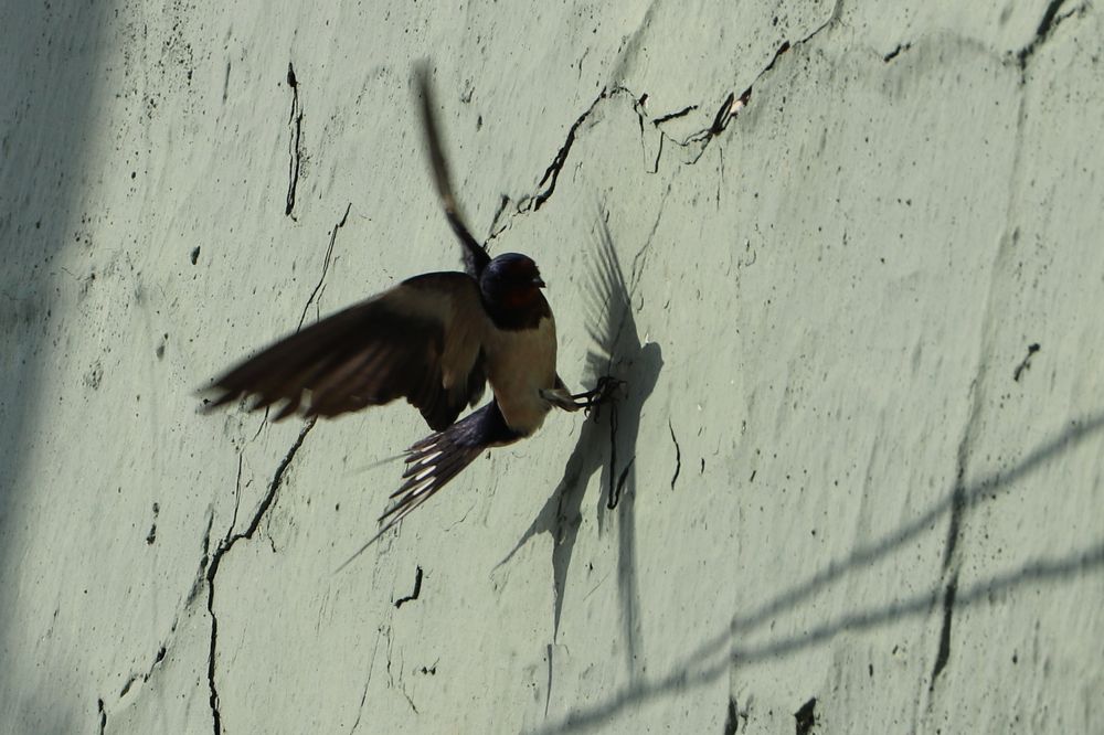 Photograph by Demirel Buket