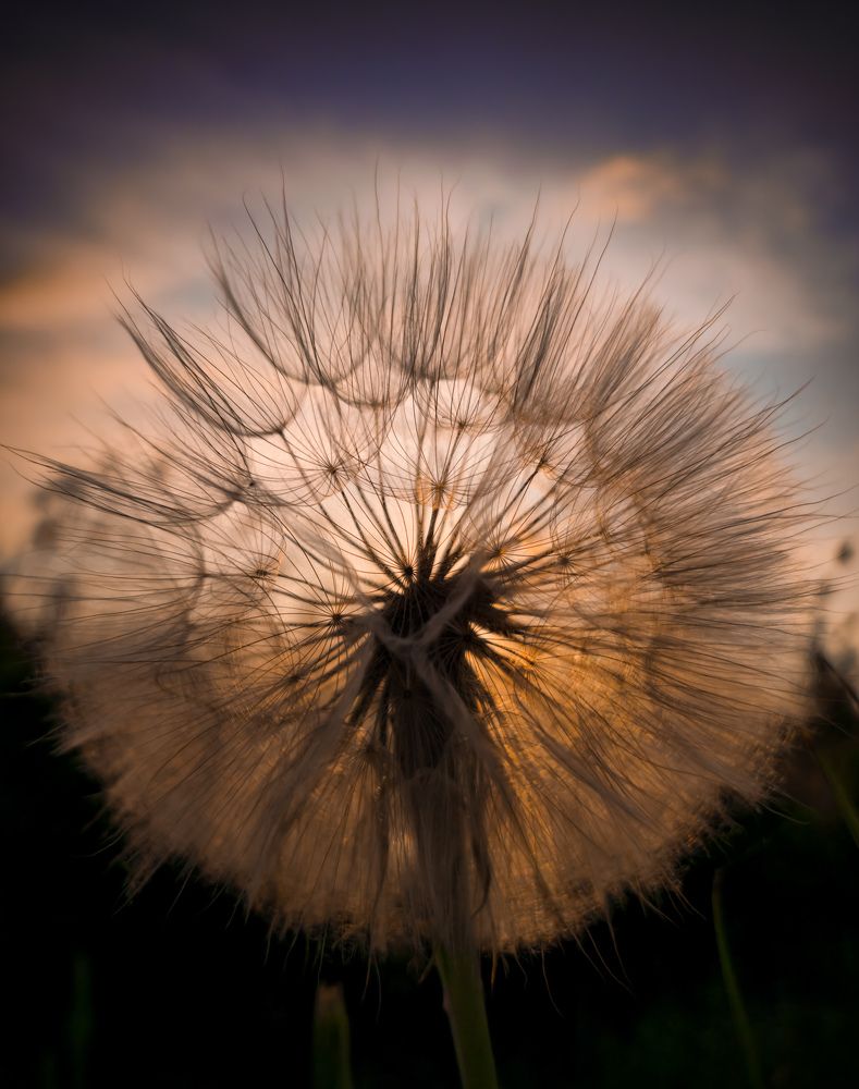 Photograph by Алина