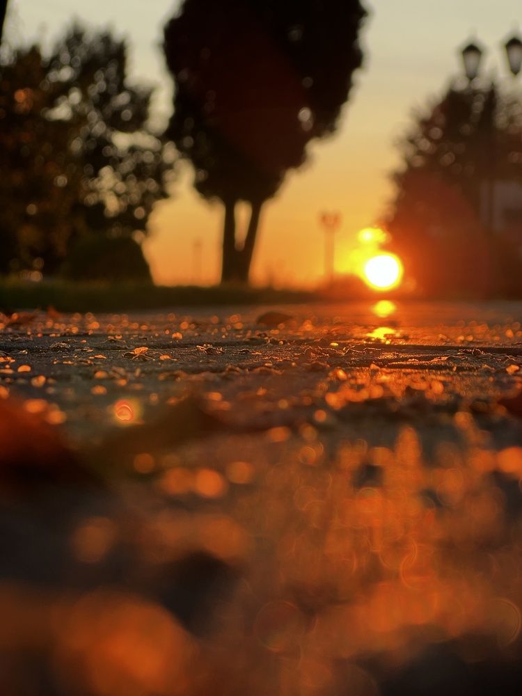 Photograph by Елена