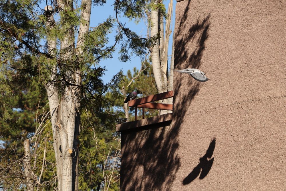 Photograph by Demirel Buket