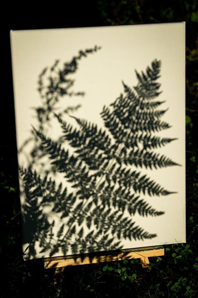 Photograph by Екатерина Одинцова