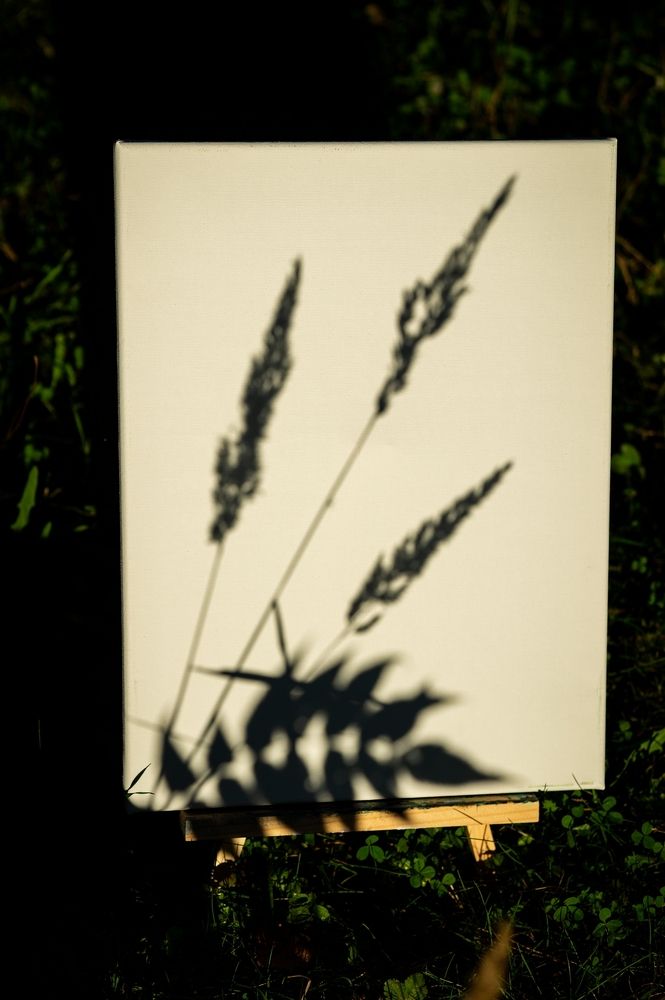 Photograph by Екатерина Одинцова