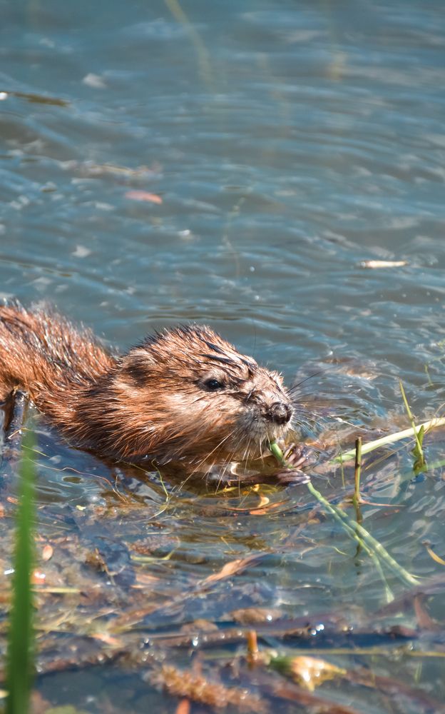 Photograph by Ольга