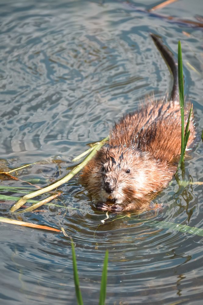 Photograph by Ольга