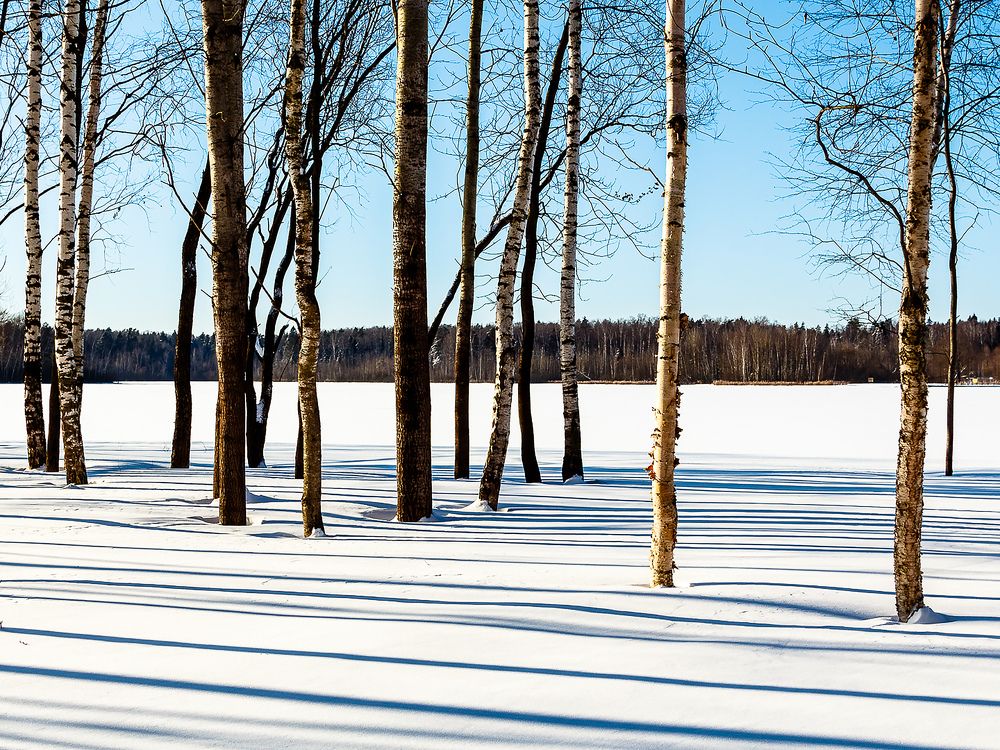 Photograph by Наталья Колеватова