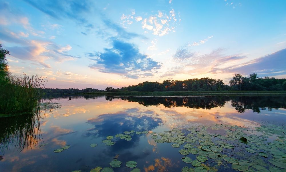 Photograph by Вячеслав Кровопусков