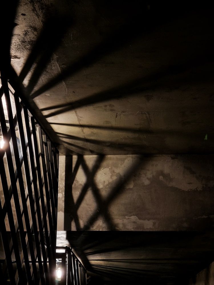 Photograph by Ольга Воронцова