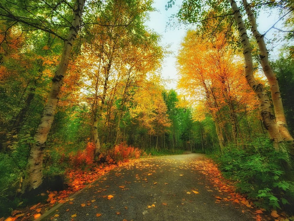 Photograph by Александр Бакин