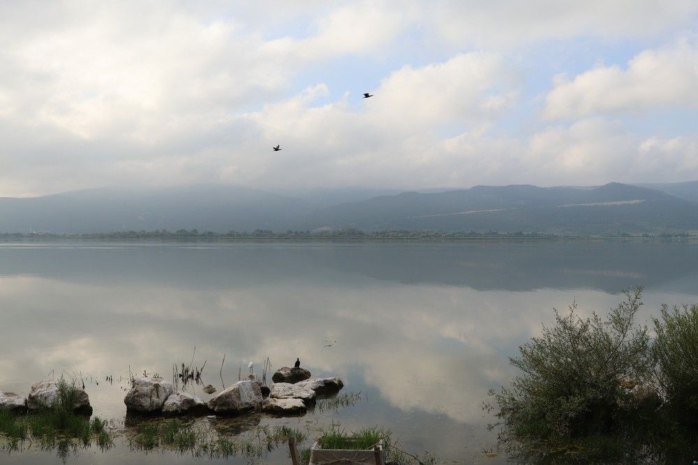 Photograph by Demirel Buket