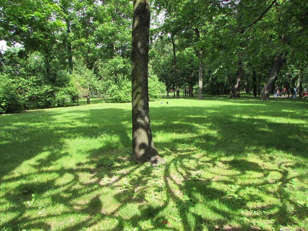 Photograph by Анна Стрельченко