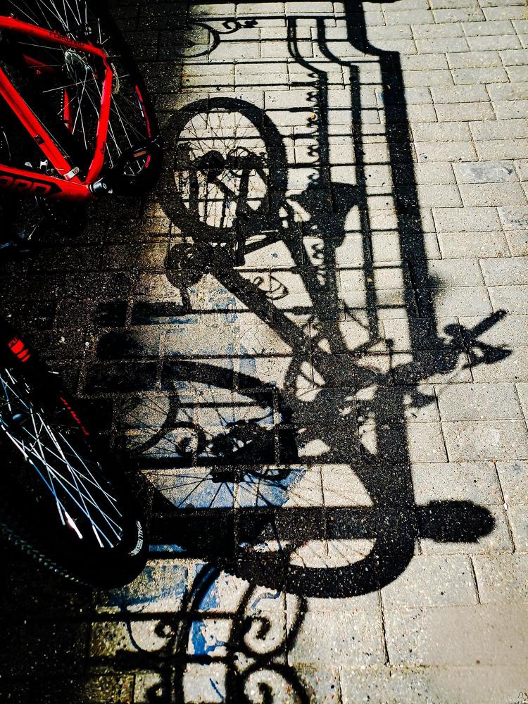 Photograph by Anna Grinkevich