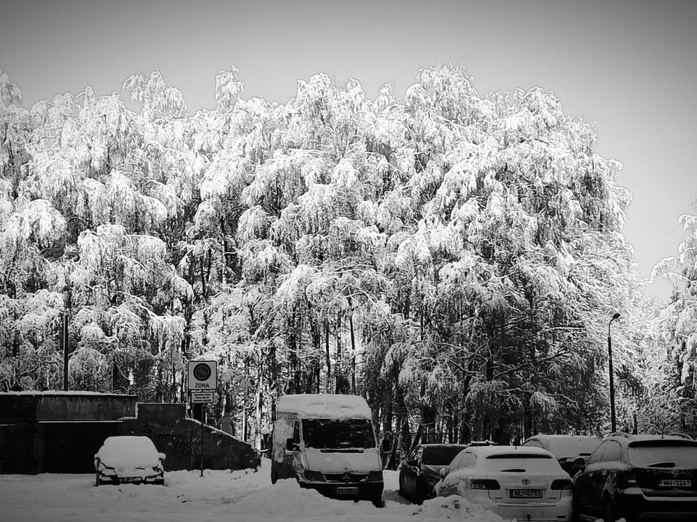 Photograph by Денис Володин