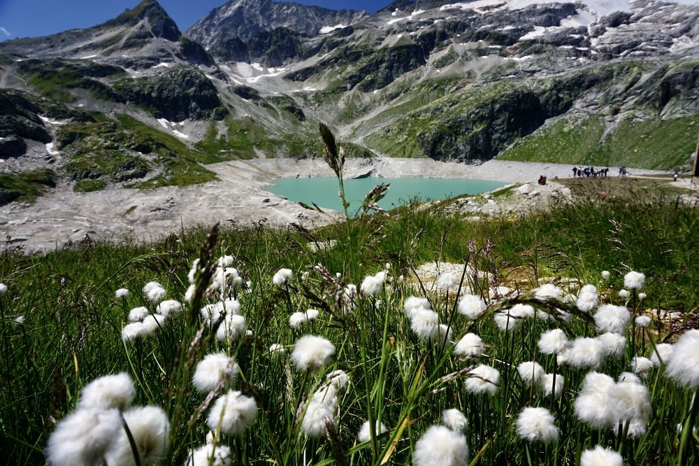 Фотография автора Liudmila Kiermeier