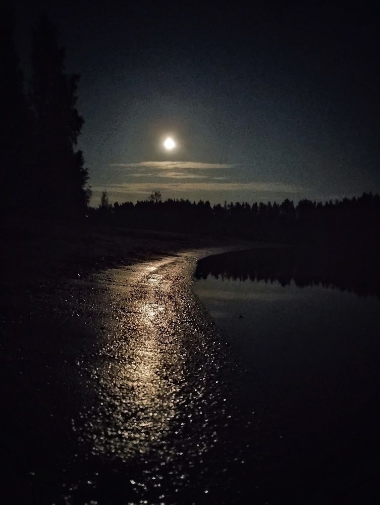 Photograph by Марина Безенкина