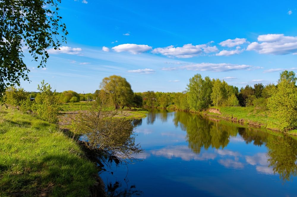 Photograph by Михаил Косолапов