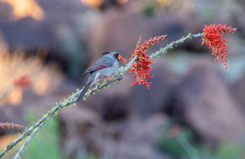 Photograph by Анатолий Костерев