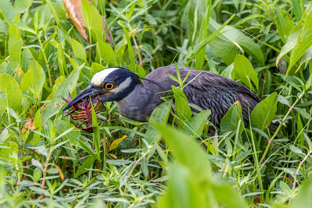 Photograph by Анатолий Костерев