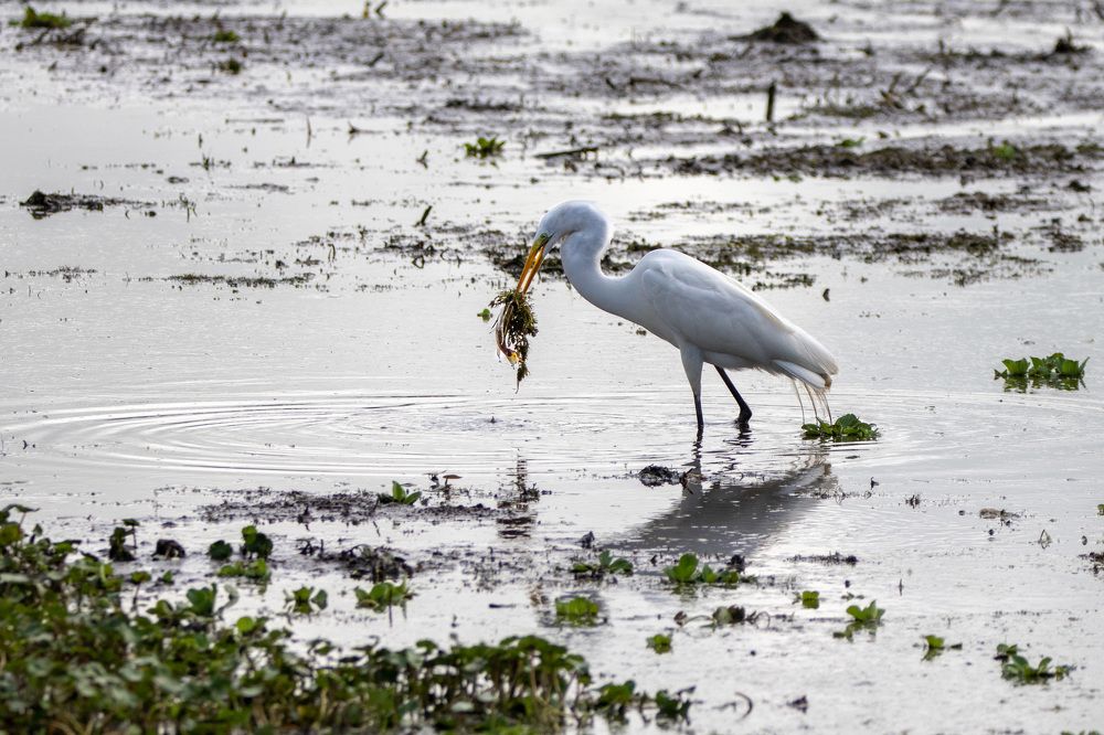 Photograph by Анатолий Костерев