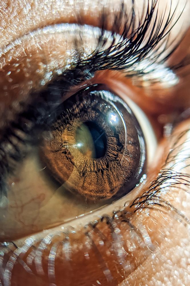 Photograph by Nomesh Patel