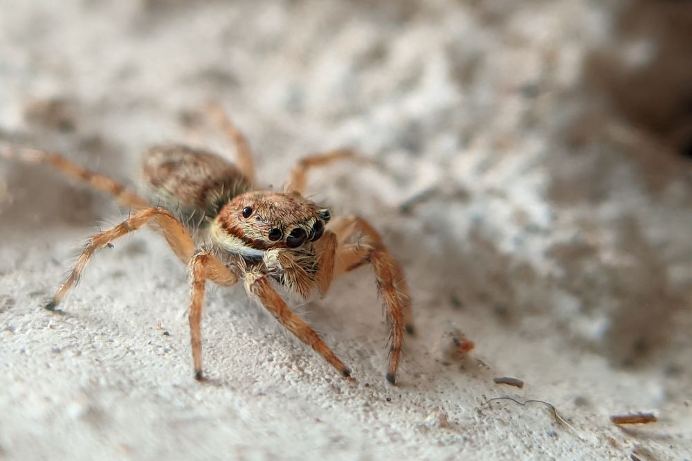 Photograph by Nomesh Patel