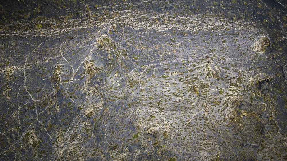 Photograph by Francisco Paredes