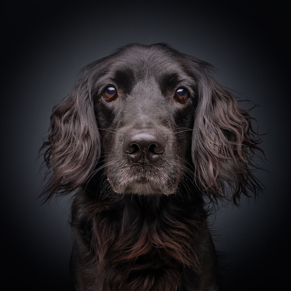 Фотография автора Bernard Sim