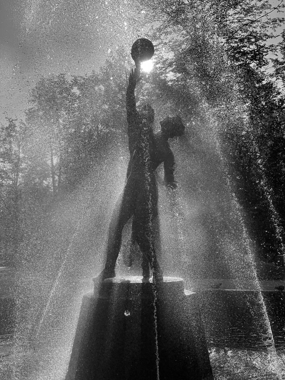 Photo #11019538