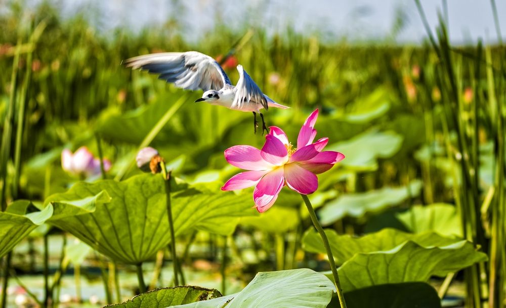 Photograph by Анатолий Салтыков