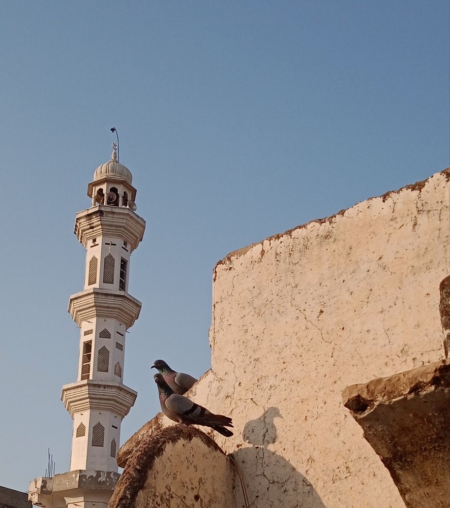 Photograph by Yasha Akhtar