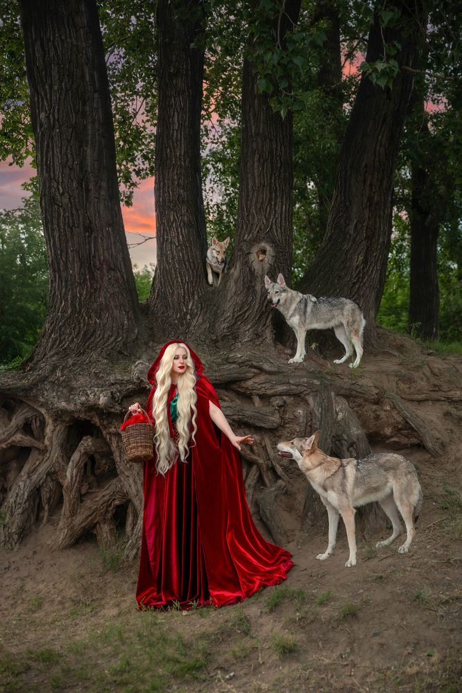 Фотография автора Софья Ознобихина