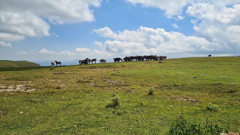 Photograph by Елена Кольцина