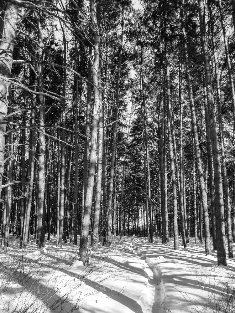 Photograph by Игорь Тюменцев