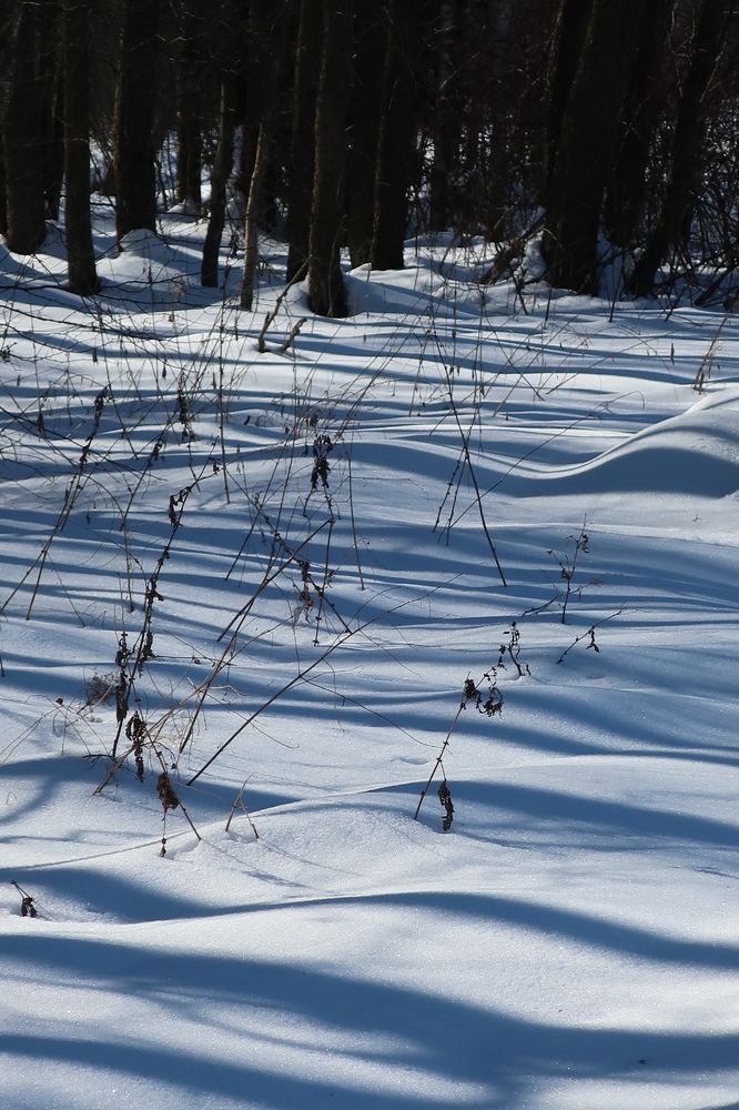 Photograph by Надежда Ткаченко