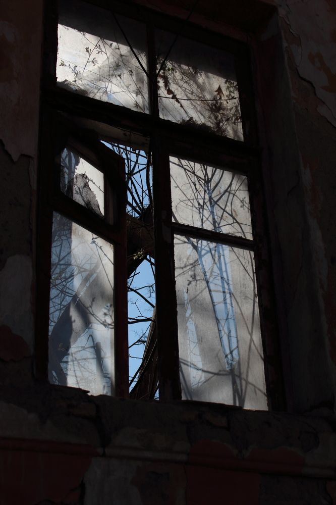 Photograph by Евгения Кулешова