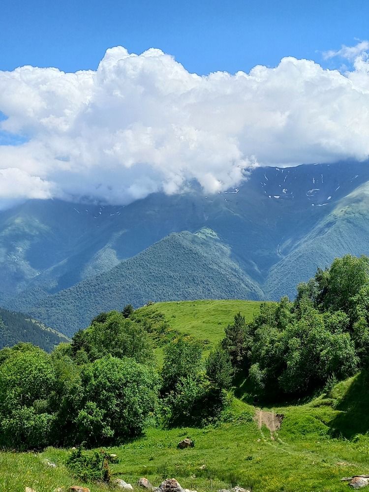 Photograph by Людмила Сотникова