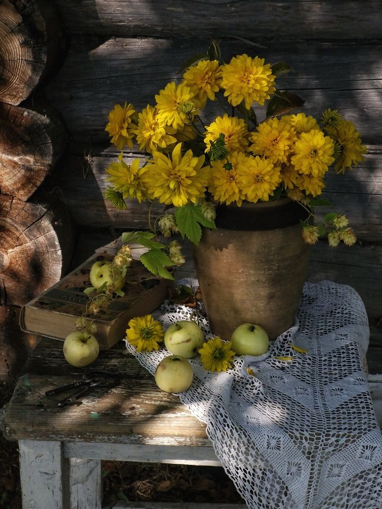 Photograph by Angelica Medvedeva