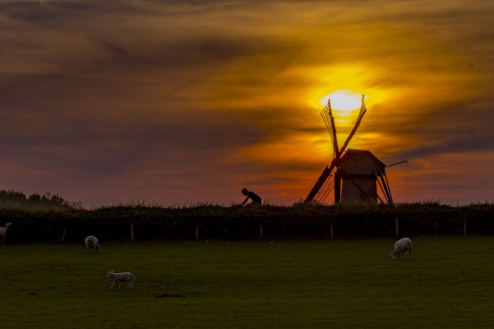 Photograph by Ellen Lichtenheldt