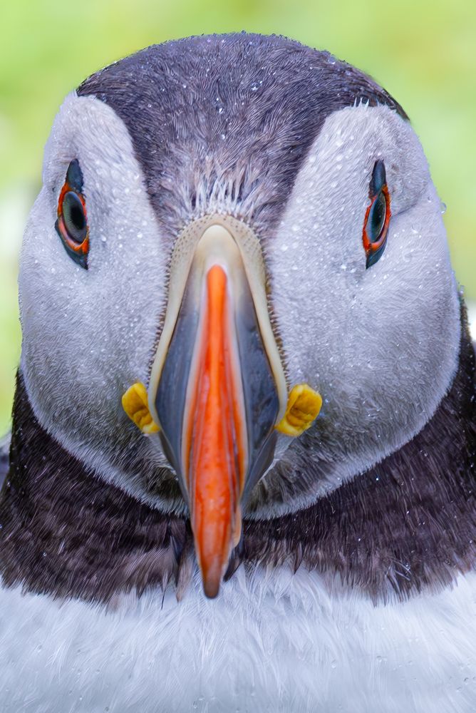 Photograph by Ellen Lichtenheldt