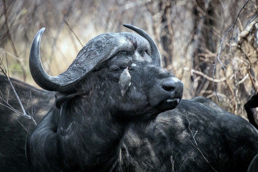 Photograph by Назаров Александр