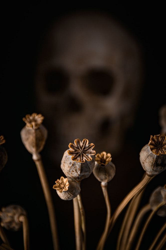 Удовольствие и расплата/Pleasure and payback