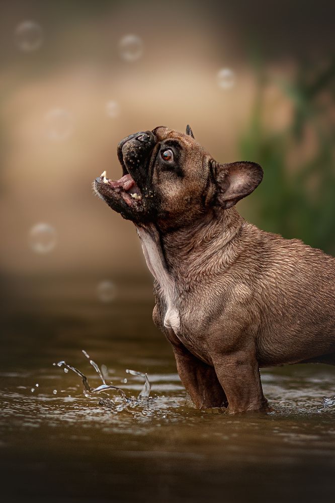 Photograph by Елена Самусенкова