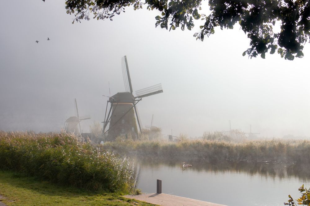 Photograph by Дьяченко Алёна