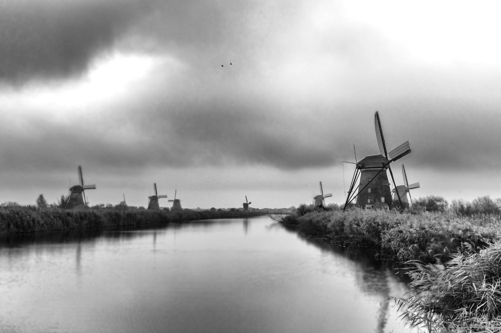 Photograph by Дьяченко Алёна