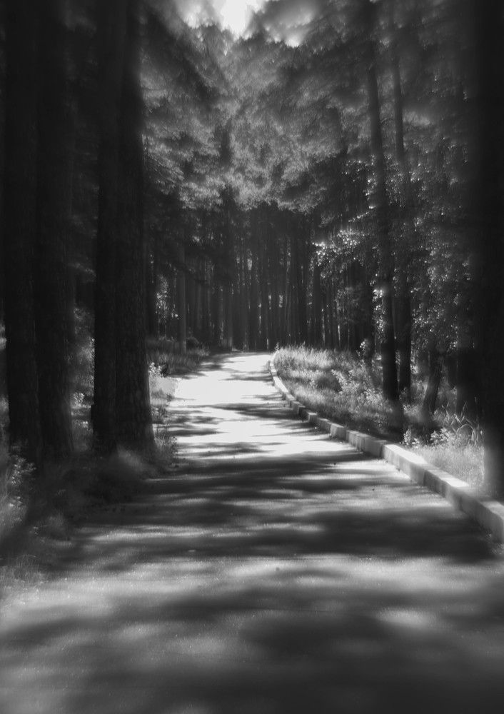 Photograph by Вадим Басов