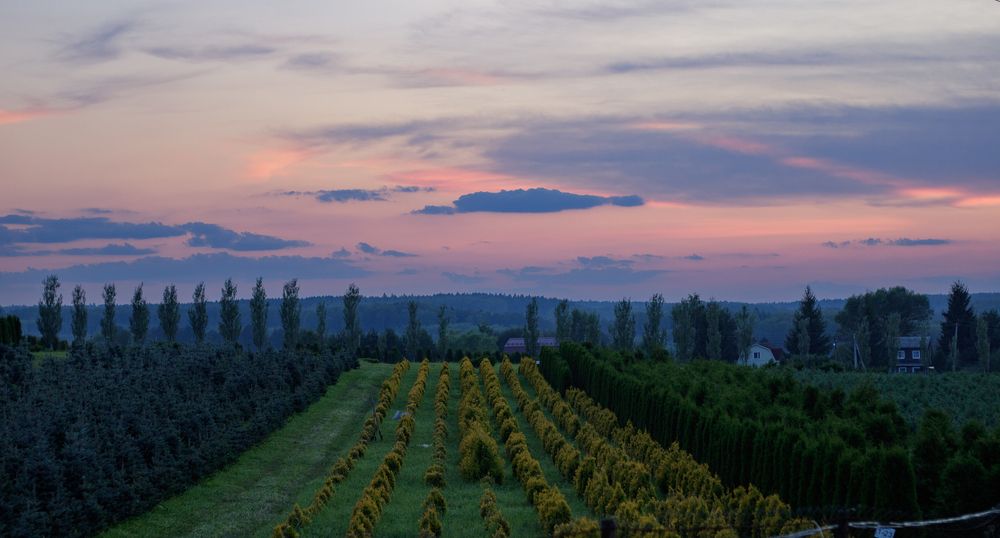 Photograph by Маргарита Сенченко