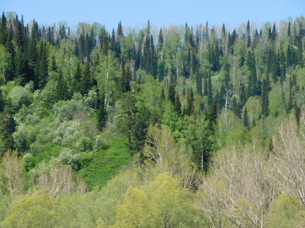 Photograph by Александр Прядко