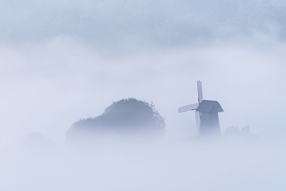 Photograph by Политова Анна