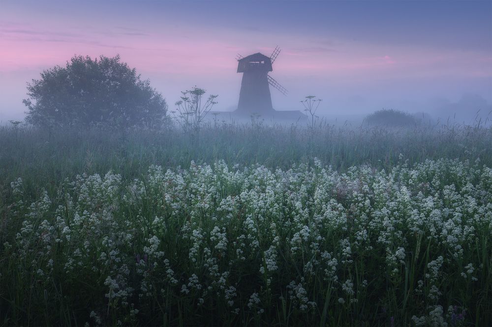 Photograph by Политова Анна