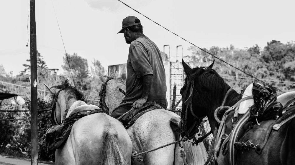 Фотография автора nileydi Colmenarez