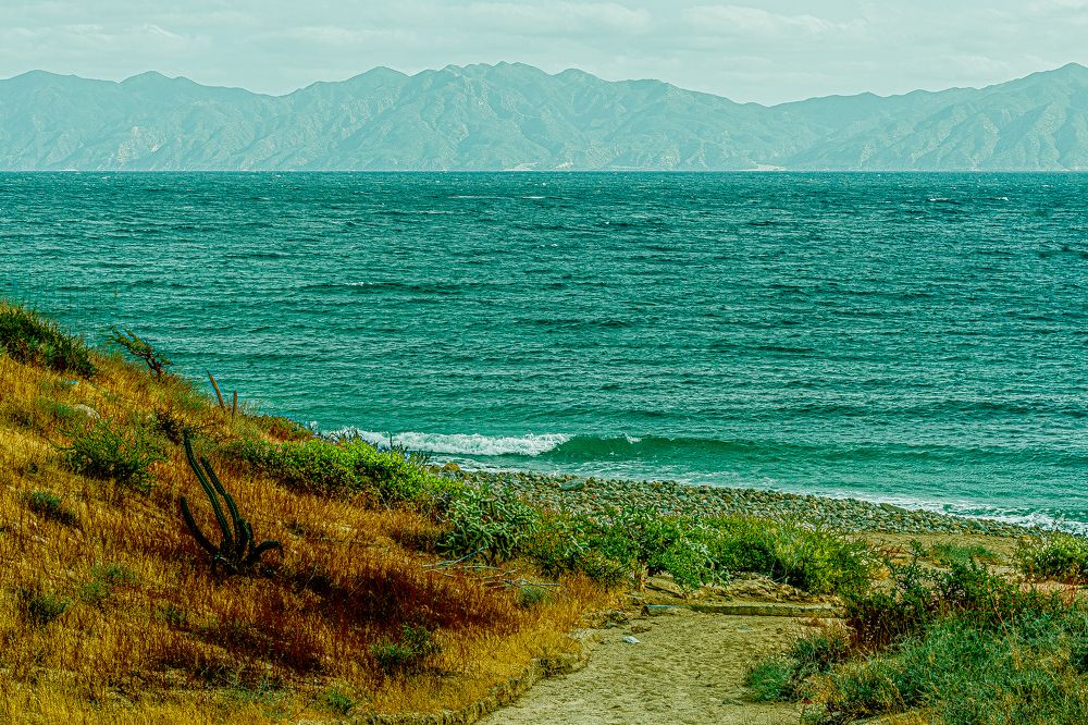 Small streams of the desert